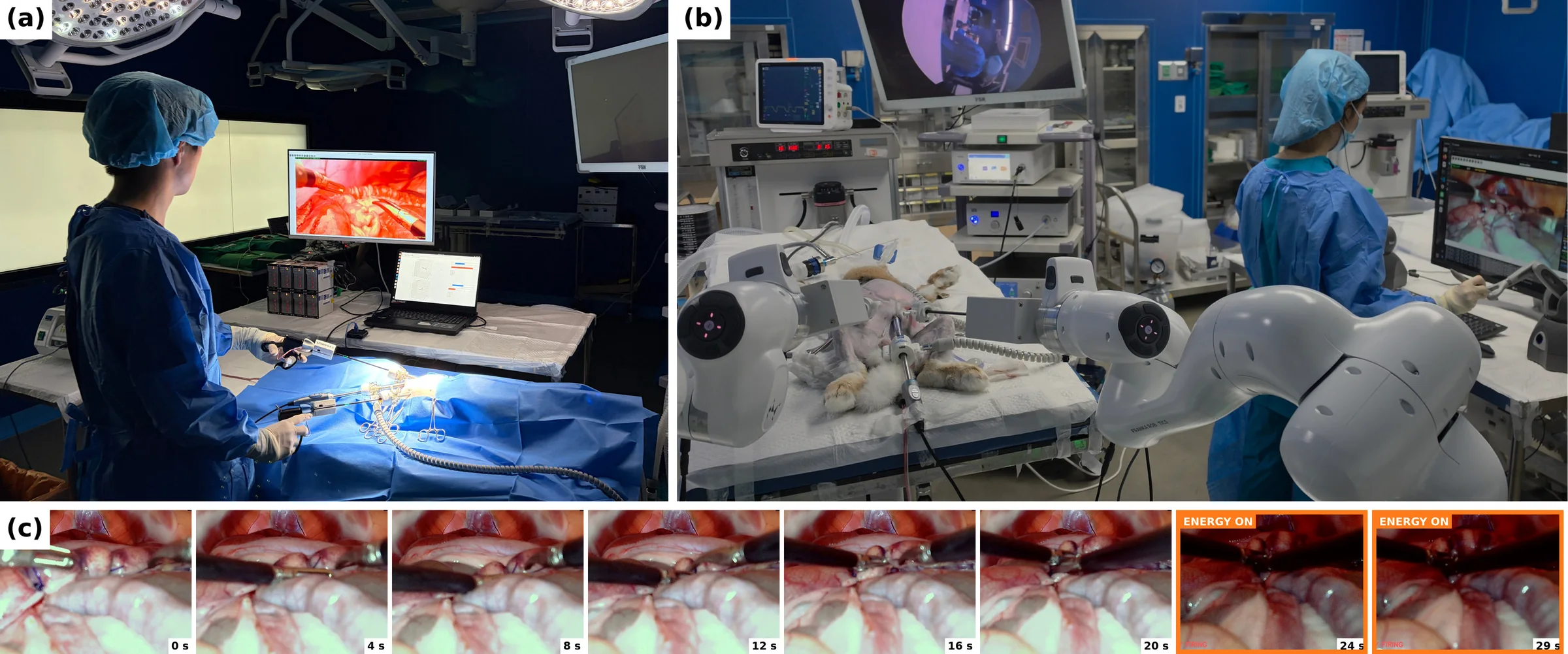 In-vivo demonstration collection, deployment with two FR3 arms, and a strip of endoscope frames from rabbit 1's rollout ending in the energized cut