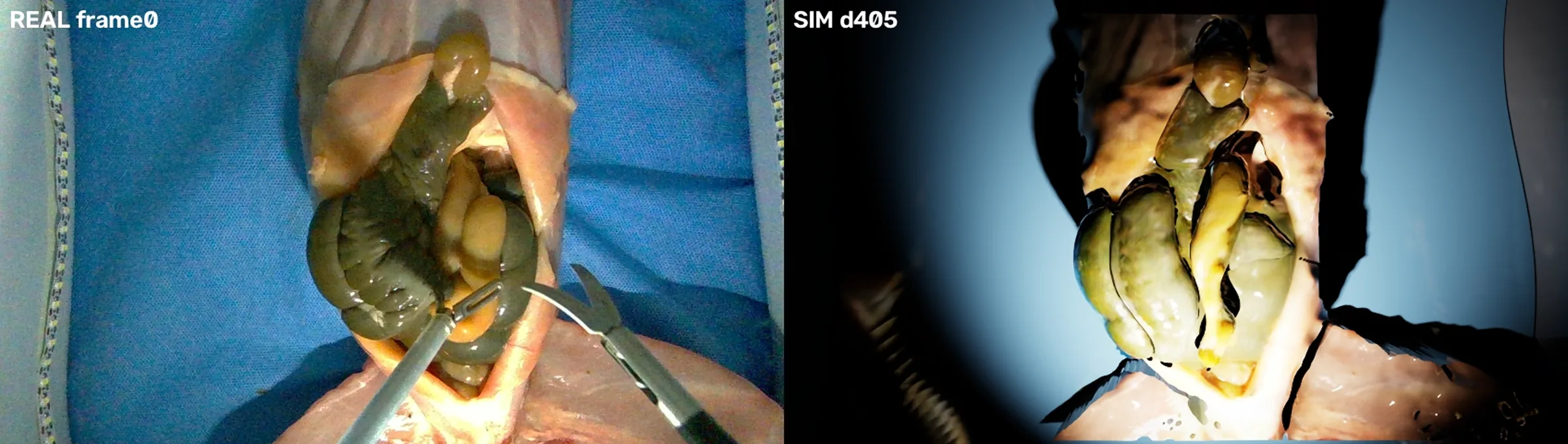 Side by side: the real endoscope frame of the ex-vivo phantom and the simulator's rendering of the organs reconstructed from the RealSense D405 depth map
